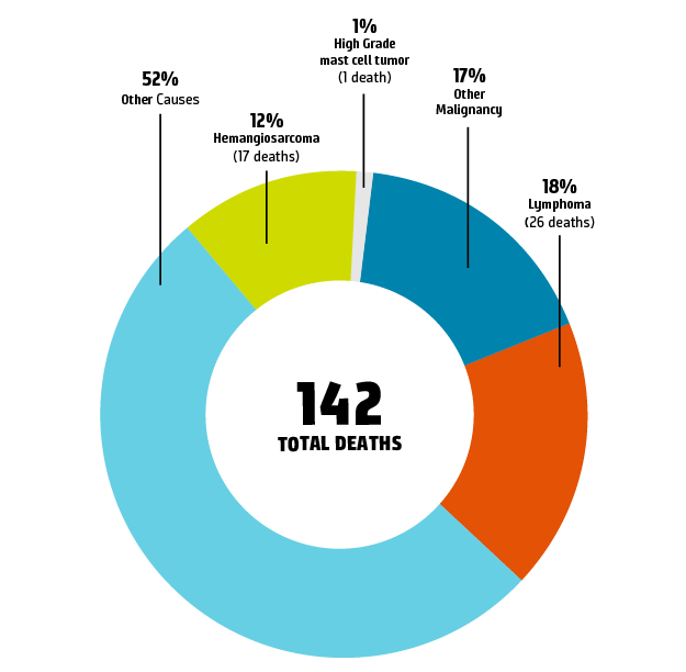 Causes of death as of January 2018